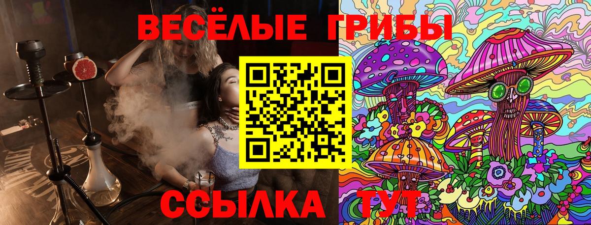 Галлюциногенные грибы прущие грибы Губкин