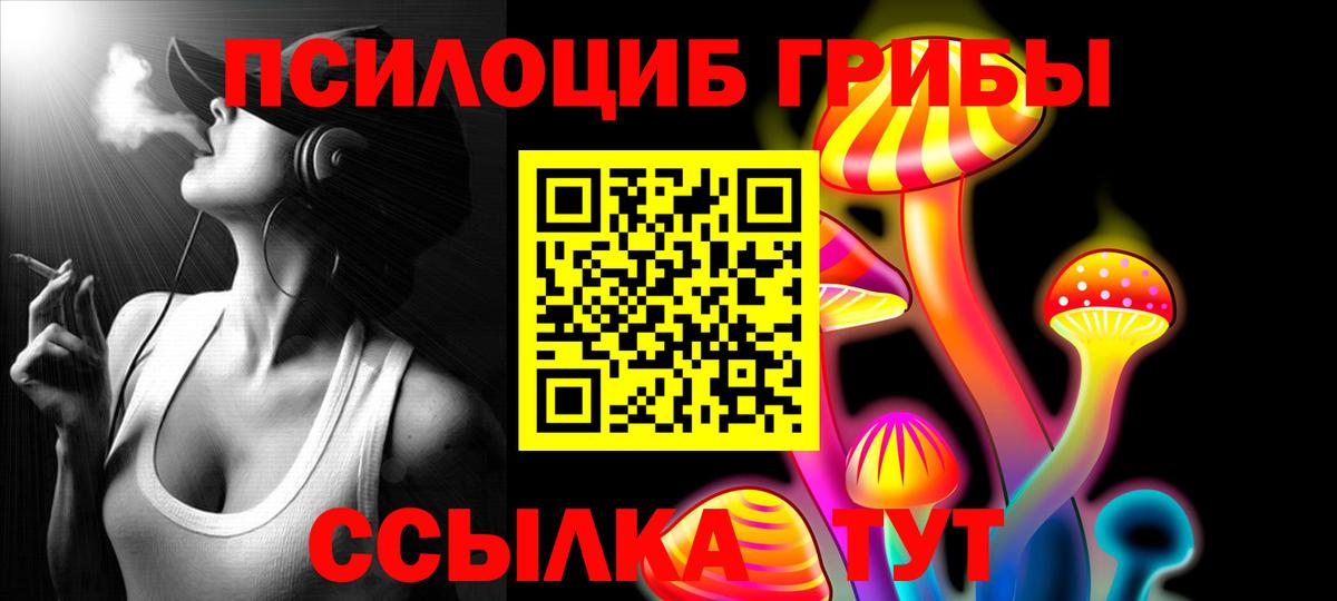 Губкин  Псилоцибиновые грибы мицелий  Вход с VPN 
